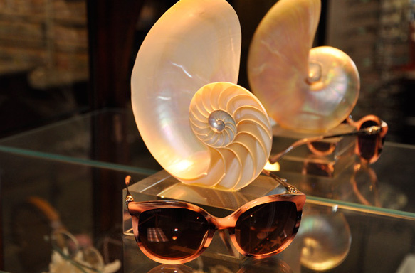 Shell with sunglasses